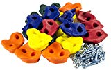 20 Deluxe Extra Large Assorted Rock Climbing Holds with Installation Hardware for up to 1" Installation - Swing Set Accessories